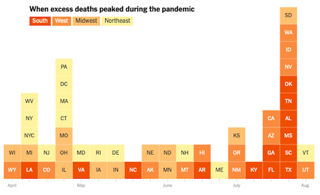 The REAL COVID-19 Death Toll Is Over 200,000