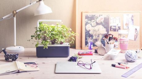 This indoor smart garden is under $70 and grows fresh herbs all year