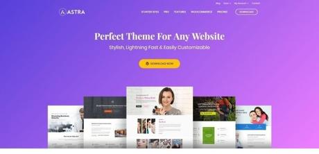 20+ Best SEO Optimized WordPress Themes