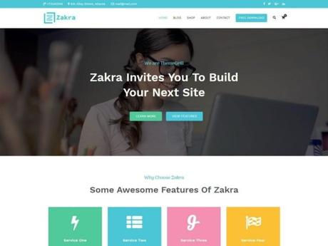 20+ Best SEO Optimized WordPress Themes