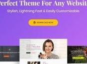 Best Optimized WordPress Themes