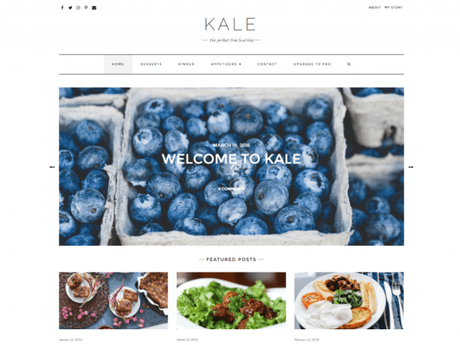 20+ Best SEO Optimized WordPress Themes
