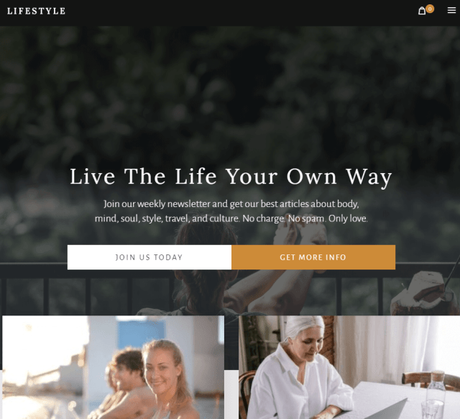20+ Best SEO Optimized WordPress Themes