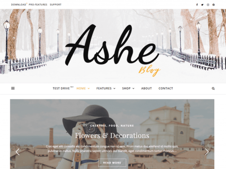 20+ Best SEO Optimized WordPress Themes