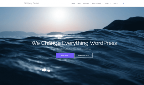 20+ Best SEO Optimized WordPress Themes 20+ Best SEO Optimized WordPress Themes