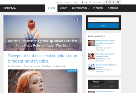 20+ Best SEO Optimized WordPress Themes
