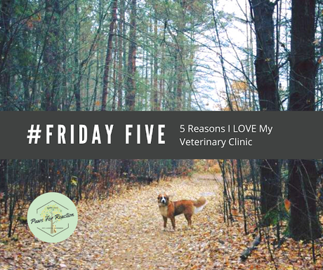 Top Five Friday: Five reasons why I love my veterinarian #FridayFive