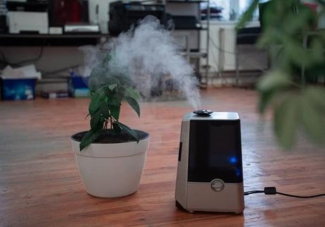 Top 3 Best Air Purifiers for Asthma