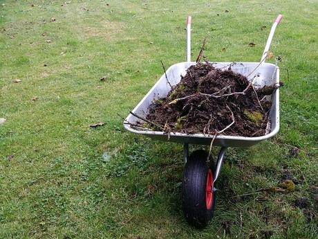 Best Wheelbarrow for Gardening Projects