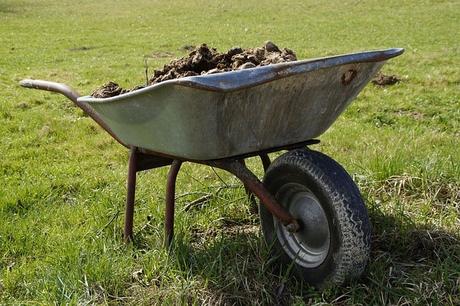 Best Wheelbarrow for Gardening Projects