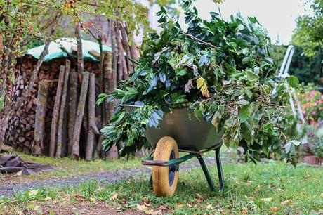 Best Wheelbarrow for Gardening Projects