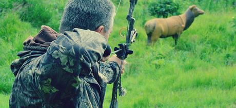 Top Most Manly Hobbies For Men
