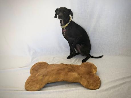 Larger than life recipe: Learn how you can make this giant dog treat