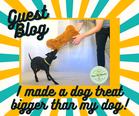 Guest blog: I made a dog treat bigger than my dog! Get the recipe