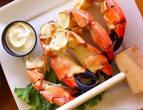 Your Ultimate Florida Foodie Guide • We Blog The World
