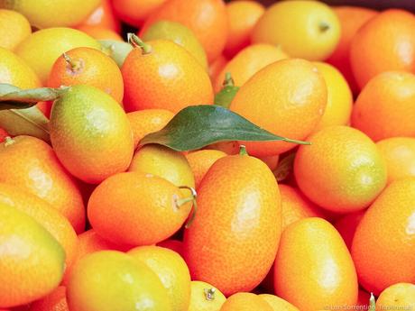 Your Ultimate Florida Foodie Guide • We Blog The World