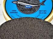 Marky’s Sturgeon Aquafarms Selling Domestic, Genuine Beluga Caviar