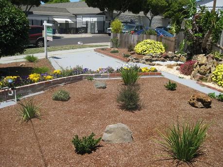 Best Xeriscape Plants: 37 Xeriscaping Ideas