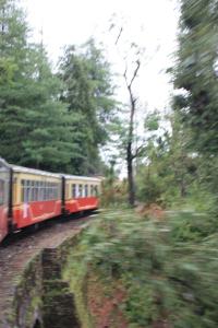 POEM: Traveler [Bergerette]