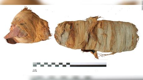 Scientists ‘digitally unwrap’ ancient Egyptian animal mummies