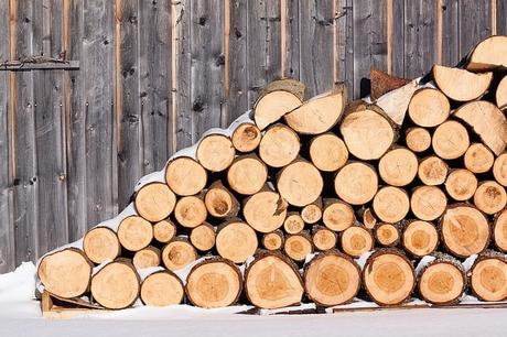 Best Log Splitter for Firewood