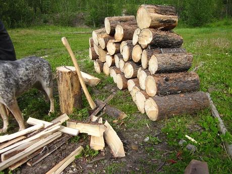 Best Log Splitter for Firewood