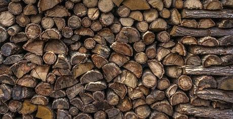 Best Log Splitter for Firewood