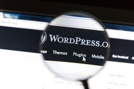 WordPress Developer Says Apple Wants 30 Percent of Purchases