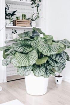 Unique Ways To Use Plants As Decor