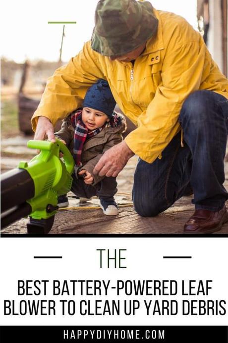 Best Battery-Powered Leaf Blower to Clean Up Yard Debris Best Battery-Powered Leaf Blower to Clean Up Yard Debris