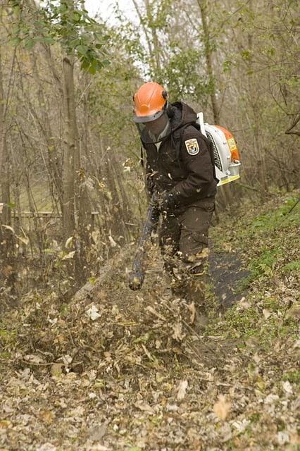 Best Battery-Powered Leaf Blower to Clean Up Yard Debris Best Battery-Powered Leaf Blower to Clean Up Yard Debris