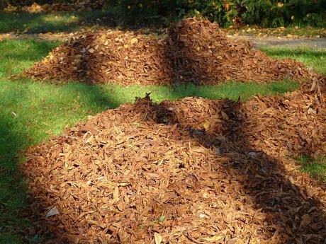 Best Battery-Powered Leaf Blower to Clean Up Yard Debris Best Battery-Powered Leaf Blower to Clean Up Yard Debris