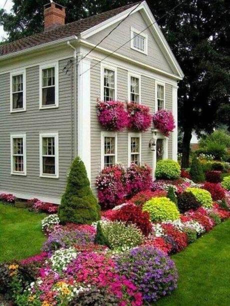 Front Yard Landscaping Ideas - Establish the Orders of Colorful Plants - Harptimes.com