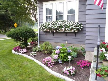 Front Yard Landscaping Ideas - Redeem the Plain Windows - Harptimes.com