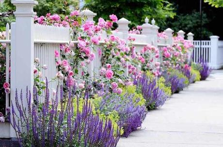 Romantic Fences Front Yard Landscaping Ideas - Harptimes.com