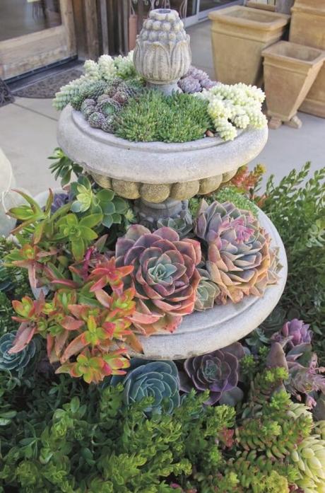 Best Front Yard Landscaping Ideas Go Stack The Succulents - Harptimes.com