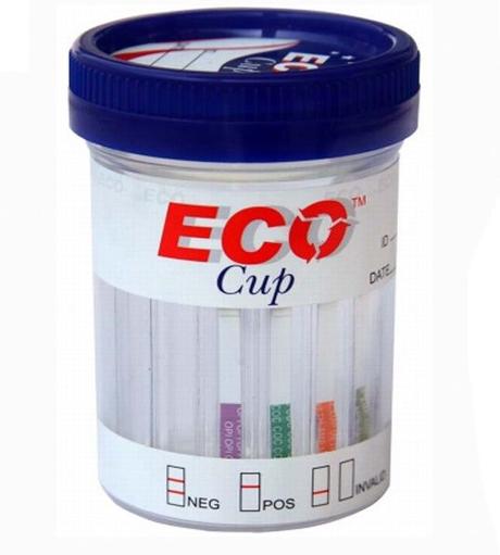 10 Panel Eco Cup