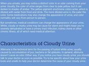 Cloudy Urine Symptoms, Causes Treatment