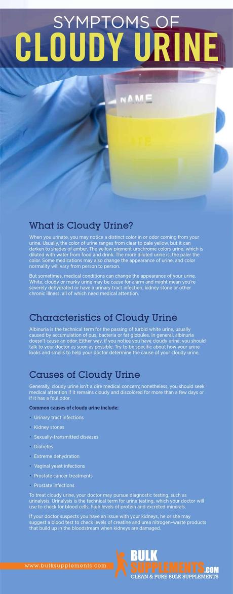 cloudy-urine-symptoms-causes-and-treatment-paperblog