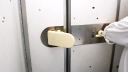 Japanese airline testing hands-free bathroom doors