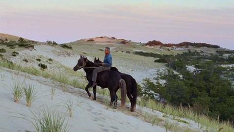 Nine Film Festival Favorites that Deserve a Home