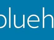 Bluehost Review Coupon Excellent Uptime Speed