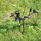 Compound Bow on Grass