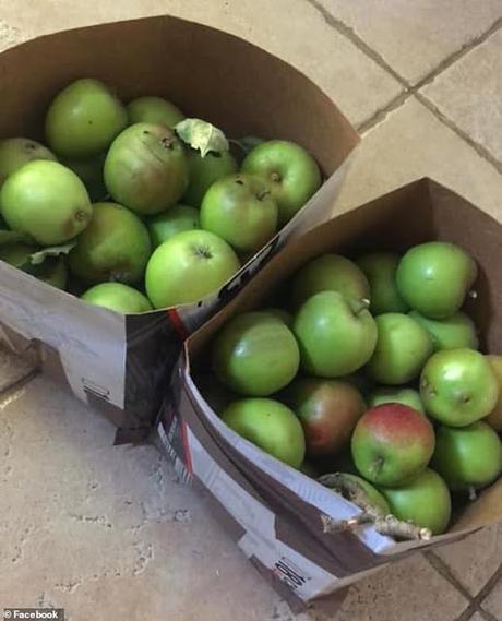 littering public places ~ Nurse fined for fly-tipping !!