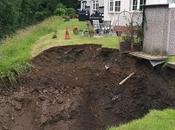 Ways Make Sure Your Yard Always Looks Fresh