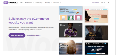 WordPress eCommerce Plugin