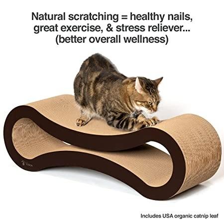 Petfusion Ultimate Cat Scratcher Lounge Reviews