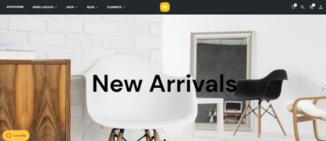 WordPress eCommerce Themes