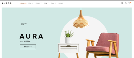 WordPress eCommerce Themes