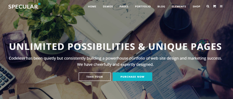 MultiPurpose WordPress Theme